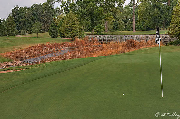 Oakwing GC #17