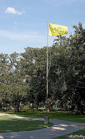 Audubon GC #18