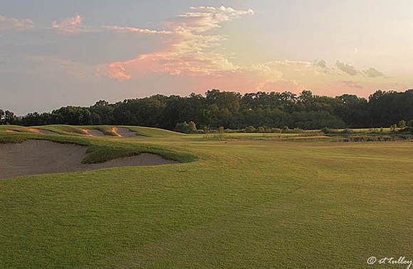 Black Bear GC #3