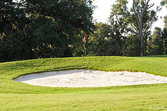 Audubon GC #11