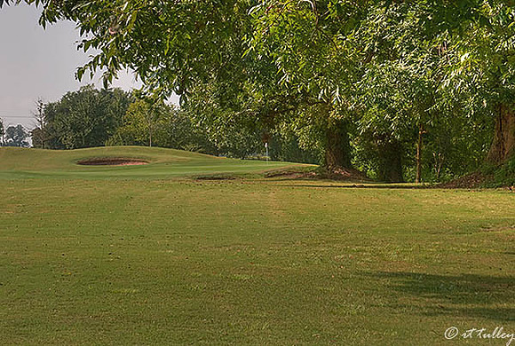 Oakwing GC #9