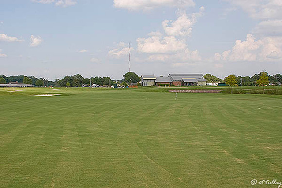 the Wetlands #18