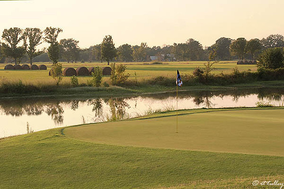 Black Bear GC #3