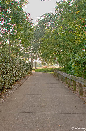 Oakwing GC Cartpath