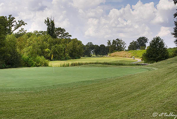 Olde Oaks Oak #1