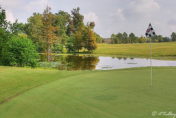 Oakwing GC #11