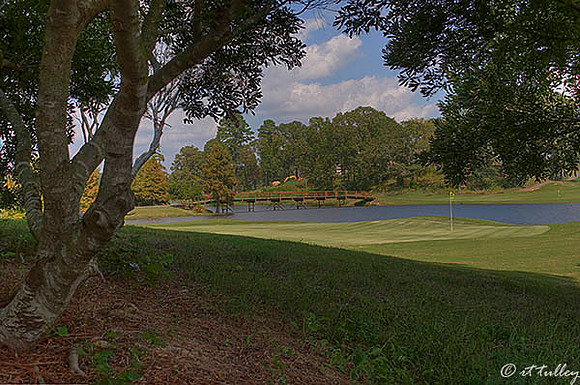 Olde Oaks Oak #9
