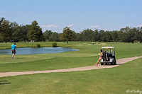 Audubon GC #1