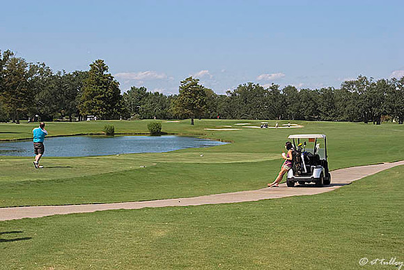 Audubon GC #1