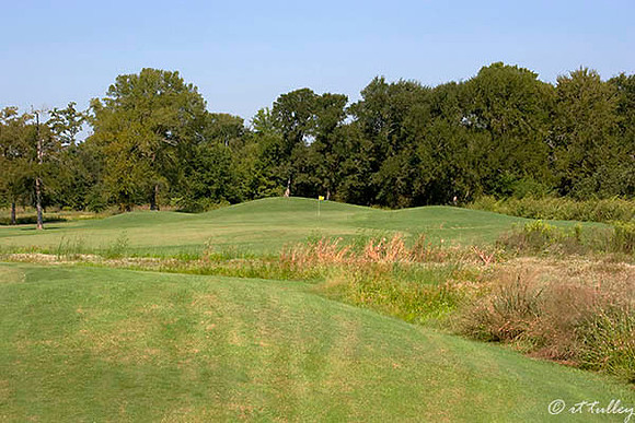 Olde Oaks Meadow #1