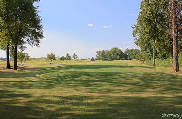 Olde Oaks Meadow #8
