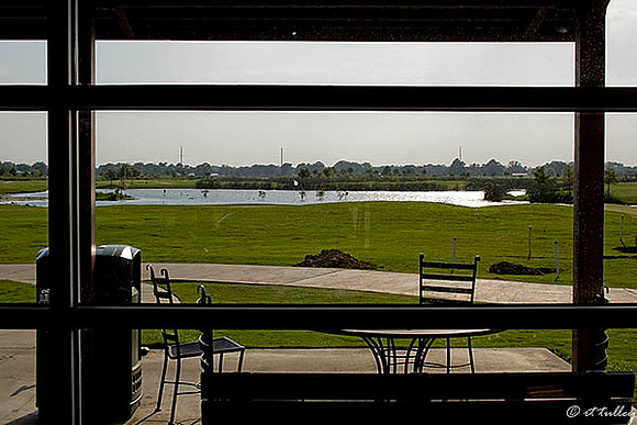 the Wetlands #9/#18