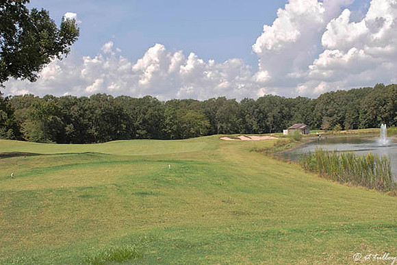 Black Bear GC #1