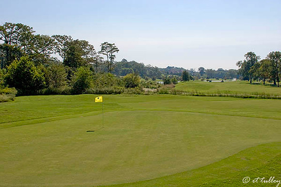 Olde Oaks Meadow #1