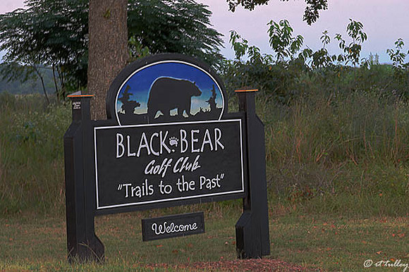 Black Bear Sub Sign