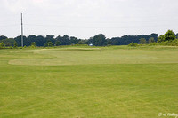 the Wetlands #1