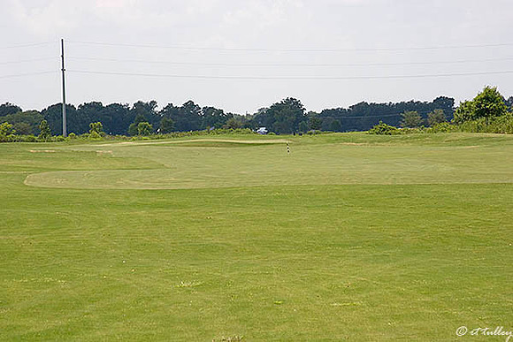 the Wetlands #1
