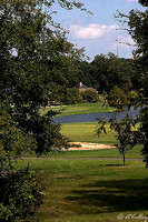 Olde Oaks Cypress #1