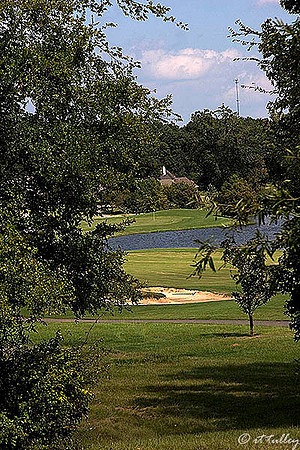 Olde Oaks Cypress #1