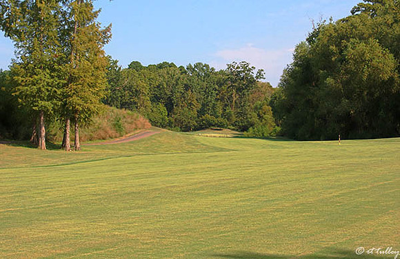 Olde Oaks Oak #1