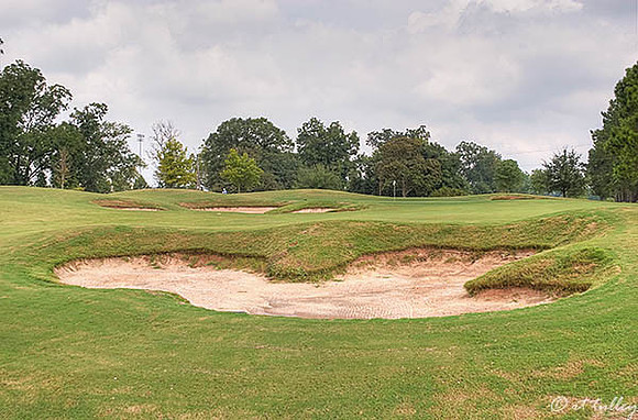 Oakwing GC #18