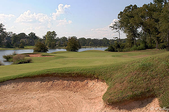 Olde Oaks Oak #2