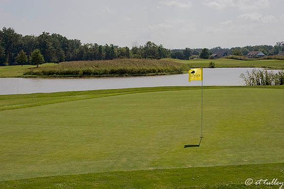 Olde Oaks Meadow #8