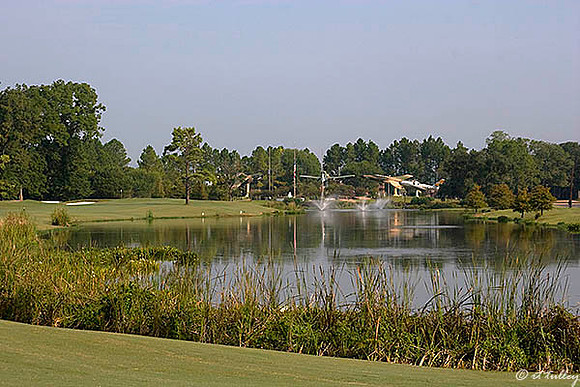 Oakwing GC #6