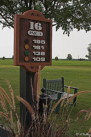 the Island #16