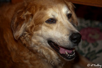 Sept, 2011