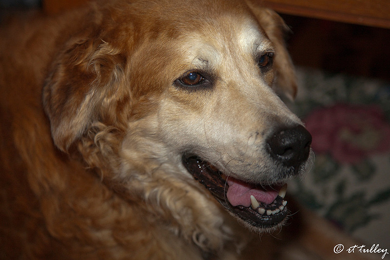 Sept, 2011