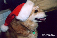 Dec 2004