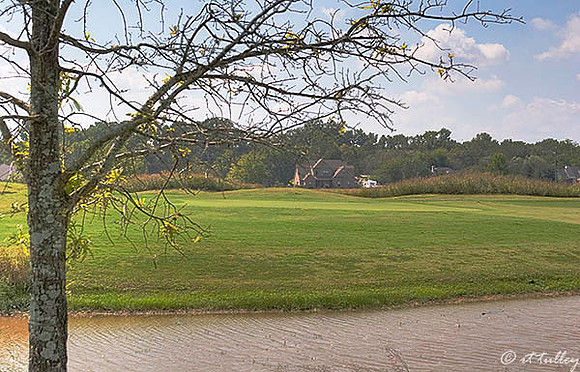 Olde Oaks Meadow #7