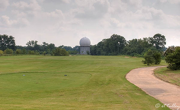 Oakwing GC #16