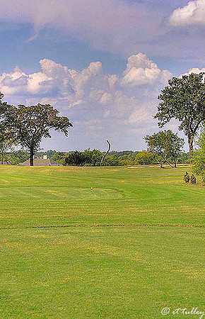 Olde Oaks Cypress #5