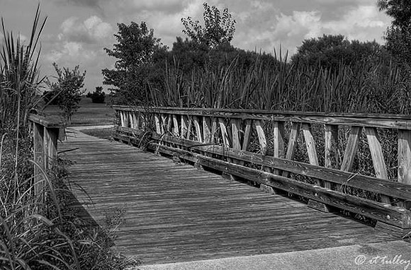 Oakwing GC Bridge at #15 B/W