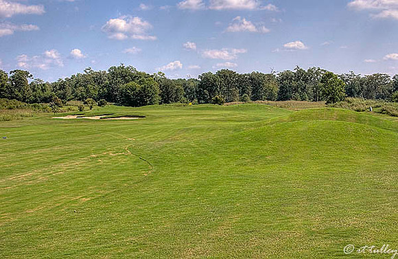 Olde Oaks  Meadow #6