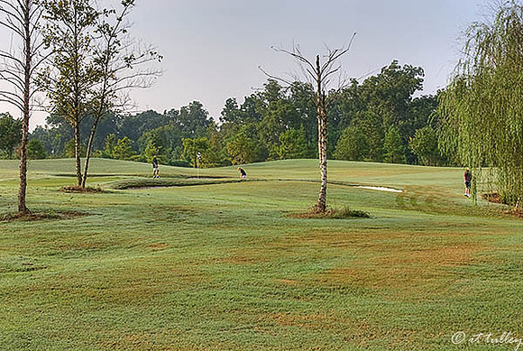 Oakwing GC #3