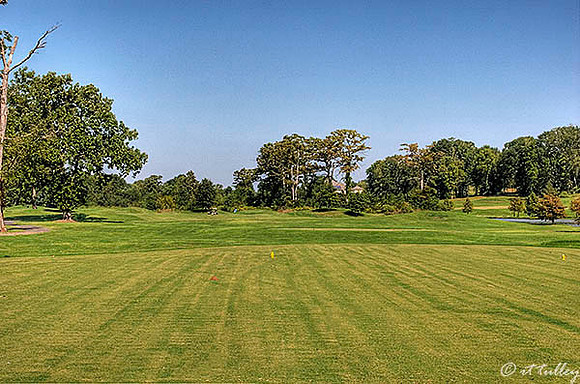 Olde Oaks Meadow #1