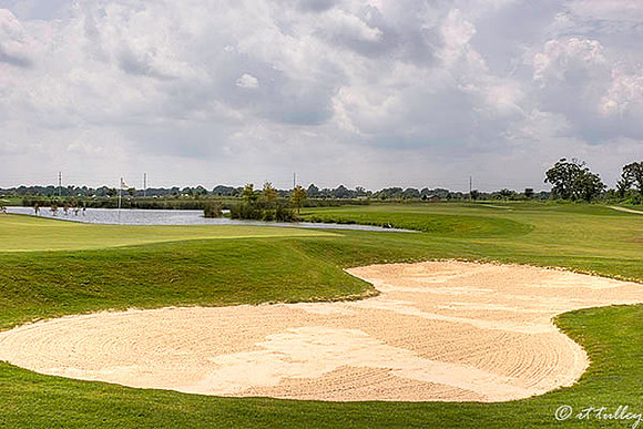 the Wetlands #18