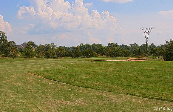 Olde Oaks Cypress #9