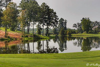Olde Oaks Cypress #1