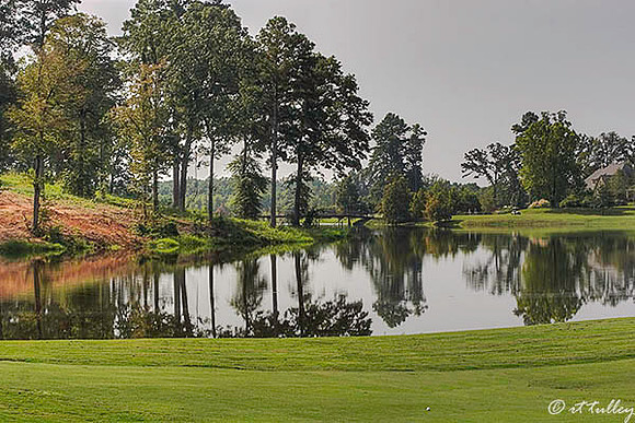 Olde Oaks Cypress #1