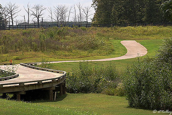Black Bear GC Cart Path & Bridge