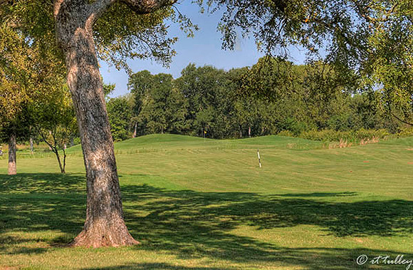 Olde Oaks Meadow #1