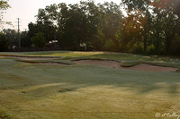 Oakwing GC #2