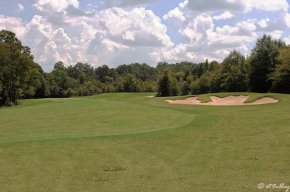 Black Bear GC #2