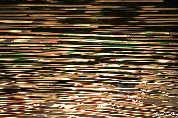 light on water