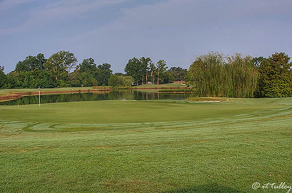Oakwing GC #3