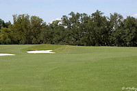 Audubon GC #1 Green